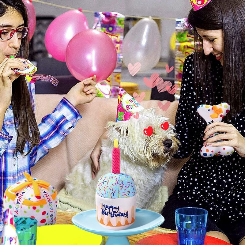 Dog Plush Toys Manufacturer - OEM Birthday Squeaky Chew