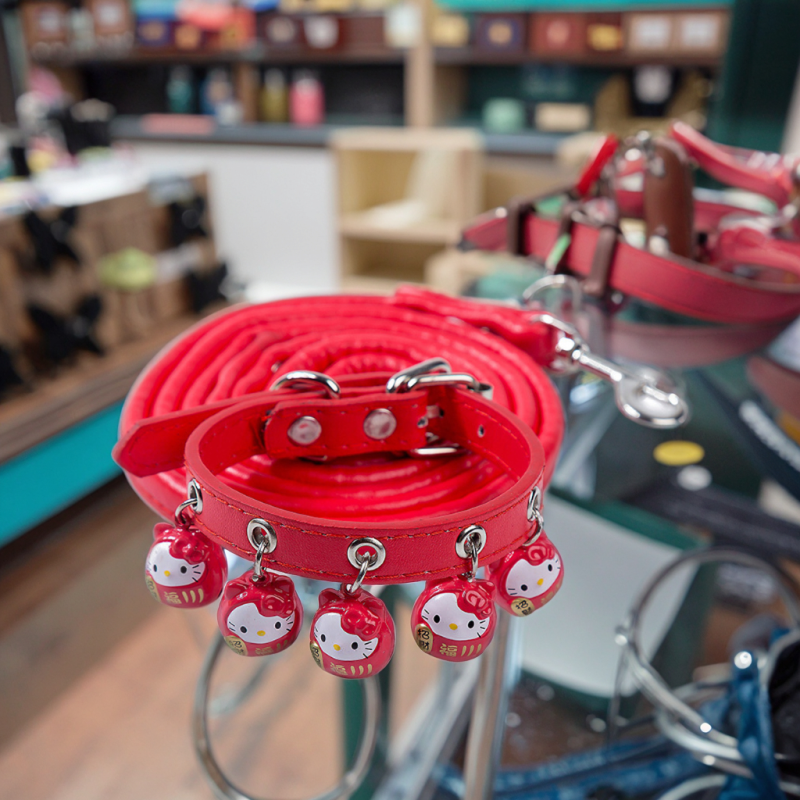 Cat Collar Set Wholesale - OEM Cute Cartoon PU Leash