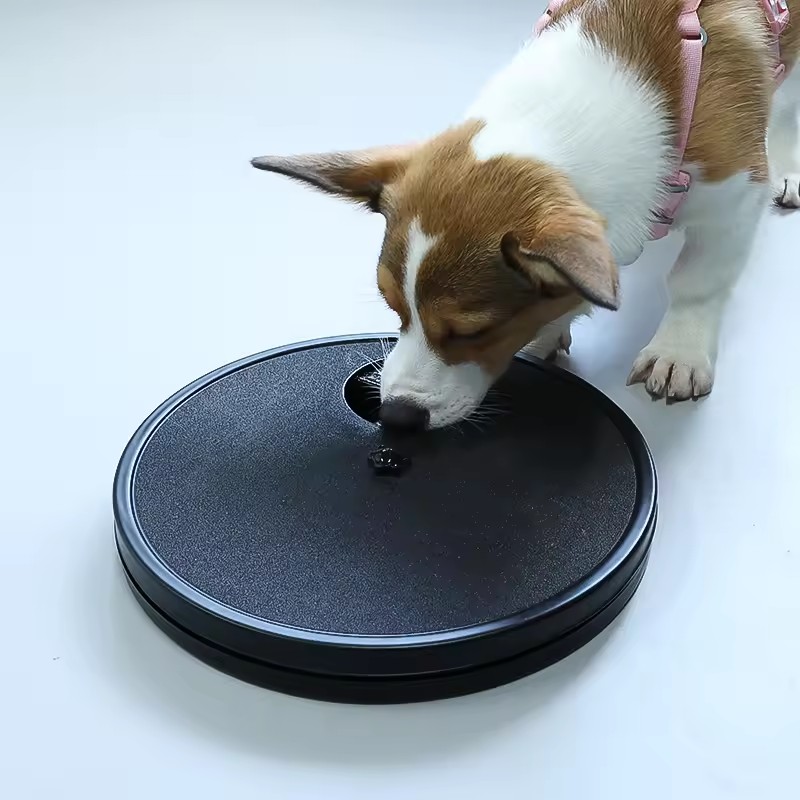 Pet Nail Sharpener Factory - OEM 3-in-1 Food Dispenser Plate