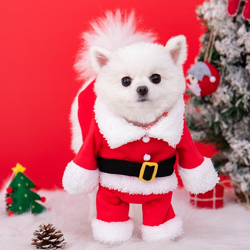 Christmas Dog Clothes Manufacturer - OEM Small Upright Outwear