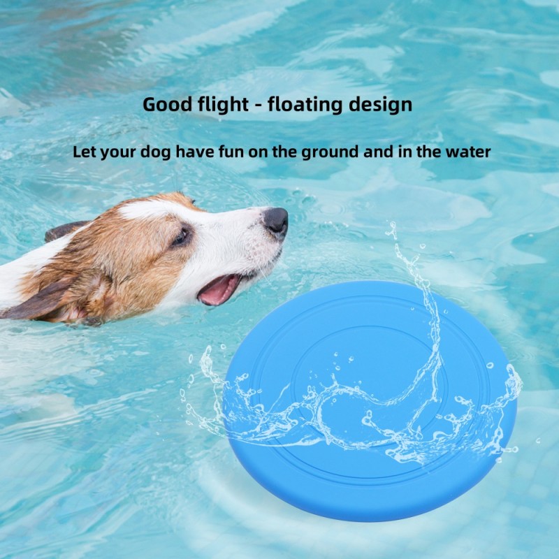 Dog Chew Toys Wholesale - OEM Durable Interactive TPR