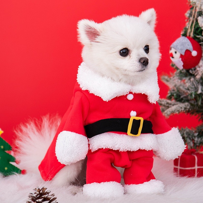 Christmas Dog Clothes Manufacturer - OEM Small Upright Outwear