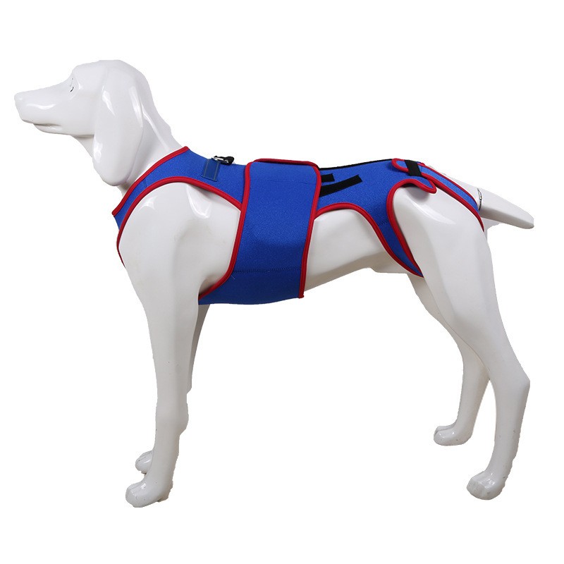 Dog Support Clothing Manufacturer - OEM Spinal Light Strip