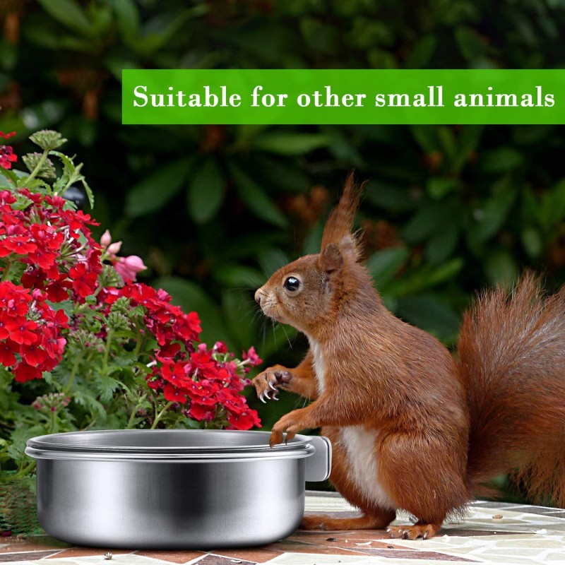 Bird Cup Factory - OEM Stainless Steel Food Water Bowl