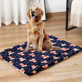 Pet Mat Wholesale - OEM Autumn Winter Thickened Flannel
