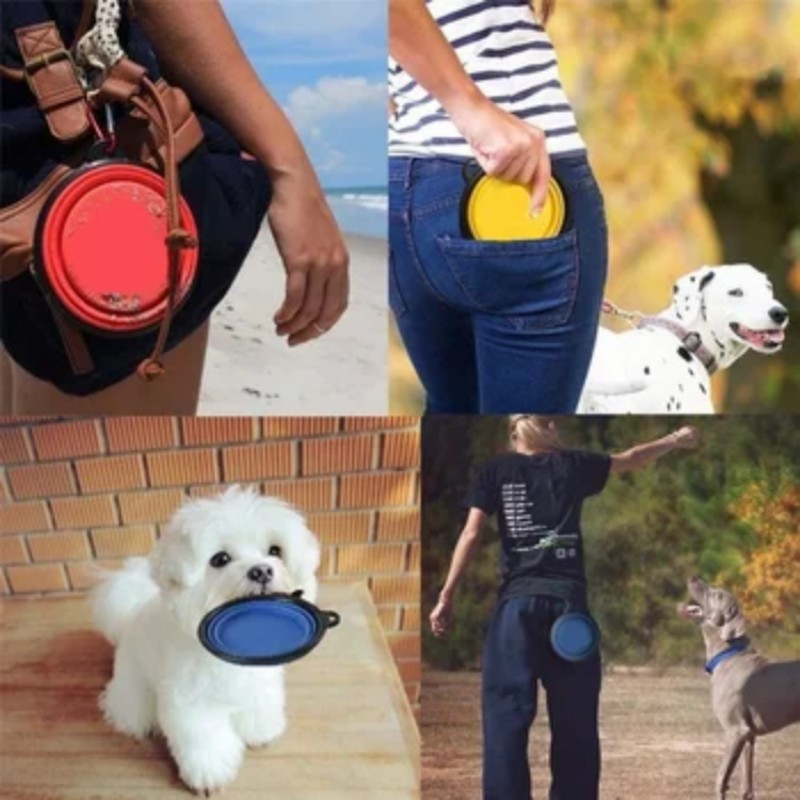Pet Bowl Manufacturer - Silicone Foldable Water Bottle