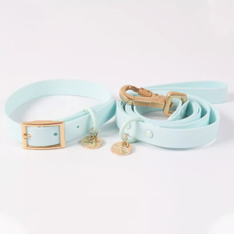 Pet Leash Set Supplier - Rubber Coated Waterproof