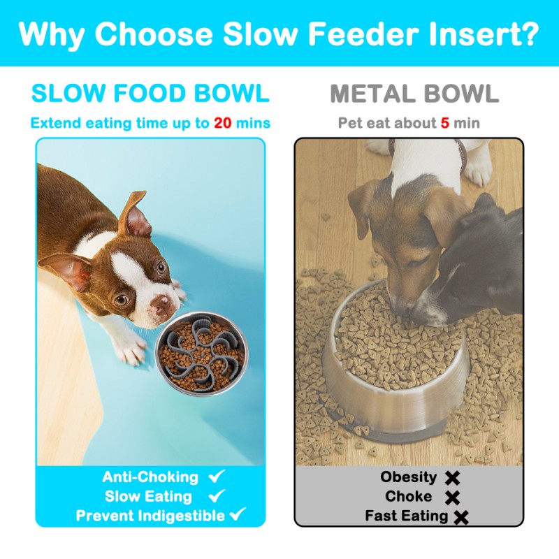 Slow Feeder Bowl Manufacturer - Silicone Spiral Pet Bowl