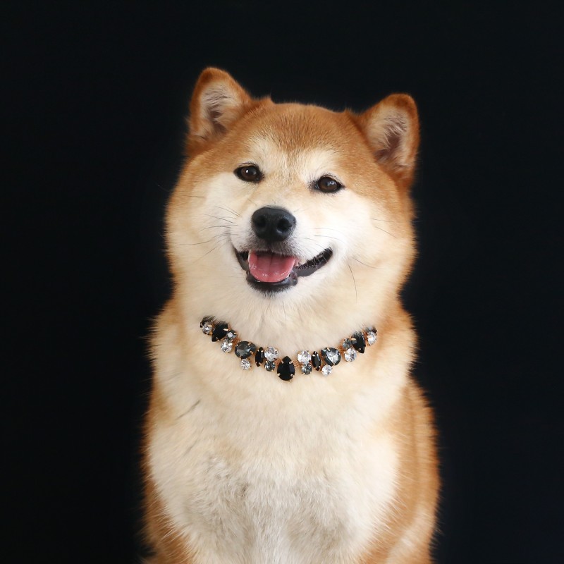 Pet Necklace Manufacturer - OEM Diamond Princess Metal