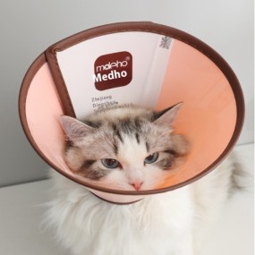 Pet Protective Cover Factory - OEM Elizabeth Plastic Ring