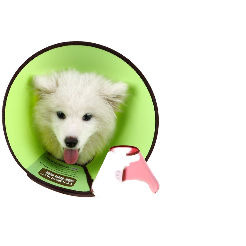 Pet Protective Cover Factory - OEM Elizabeth Plastic Ring