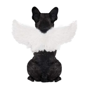 Pet Wings Coat Factory - OEM Angel Animal Print