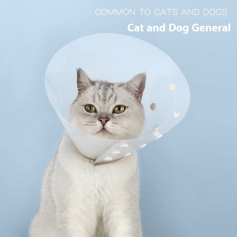 Elizabeth Collar Manufacturer - OEM Anti-Bite Anti-Lick