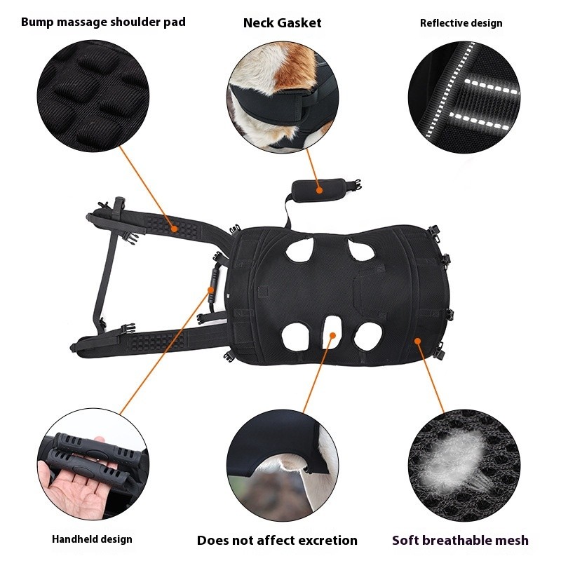 Pet Backpack Manufacturer - OEM Multi-Functional Oxford