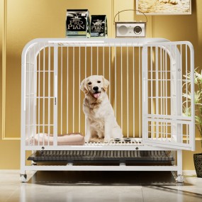 Dog Cage Supplier - Medium Large Collapsible Box