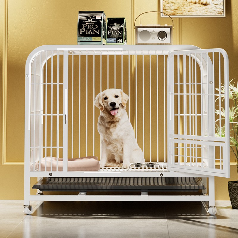 Dog Cage Supplier - Medium Large Collapsible Box