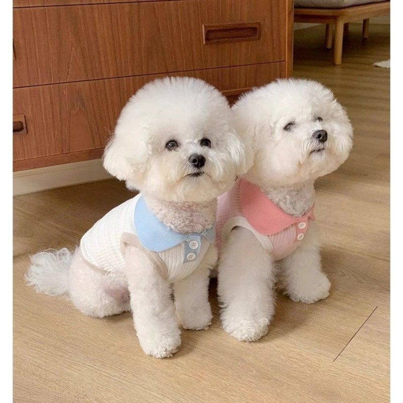 Dog Raincoat Supplier - Transparent Waterproof Poncho