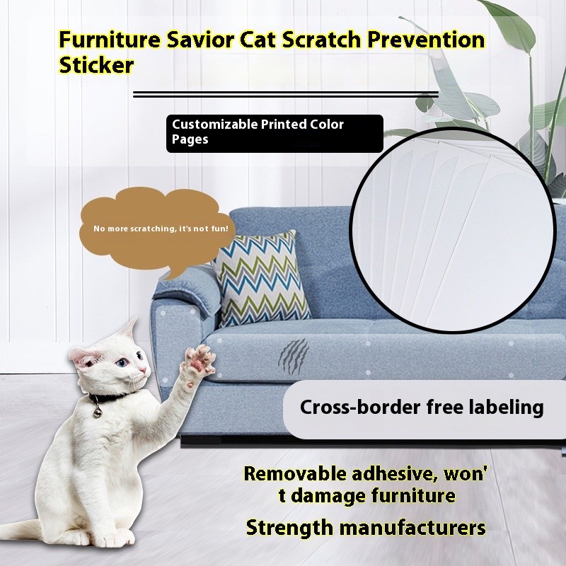 Pet Bath Towel Supplier - Microfiber Absorbent Cloak Dryer