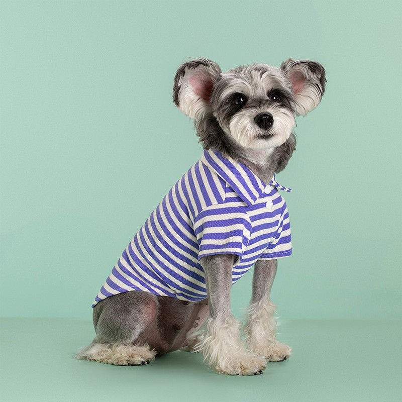 Pet Polo Shirt Manufacturer - Macaron Casual Stretch Polyester