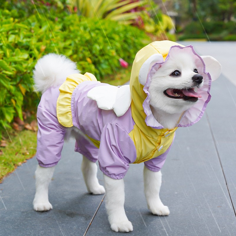 Dog Raincoat Supplier - Cartoon Print Four Legs Design