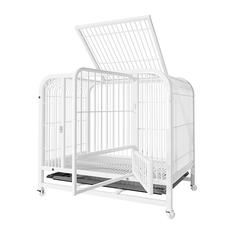 Dog Cage Supplier - Medium Large Collapsible Box