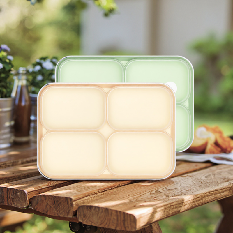 Ice Container Manufacturer - Custom Large Mold with Lid