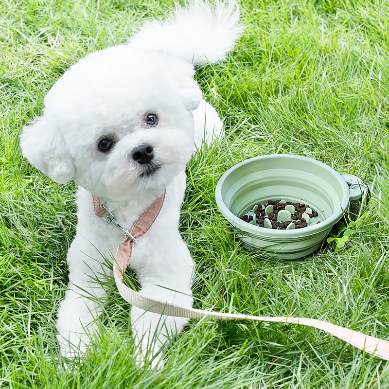 Collapsible Pet Bowl Supplier - Food Grade Eco-friendly