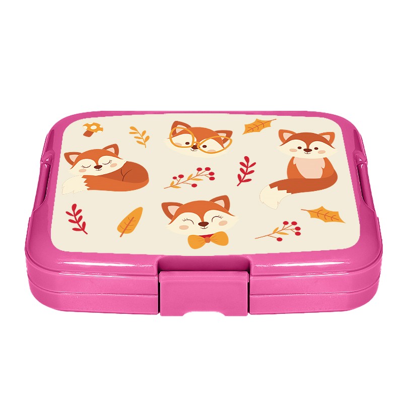 Adult Lunch Box Factory - 5 Compartment Meal Prep