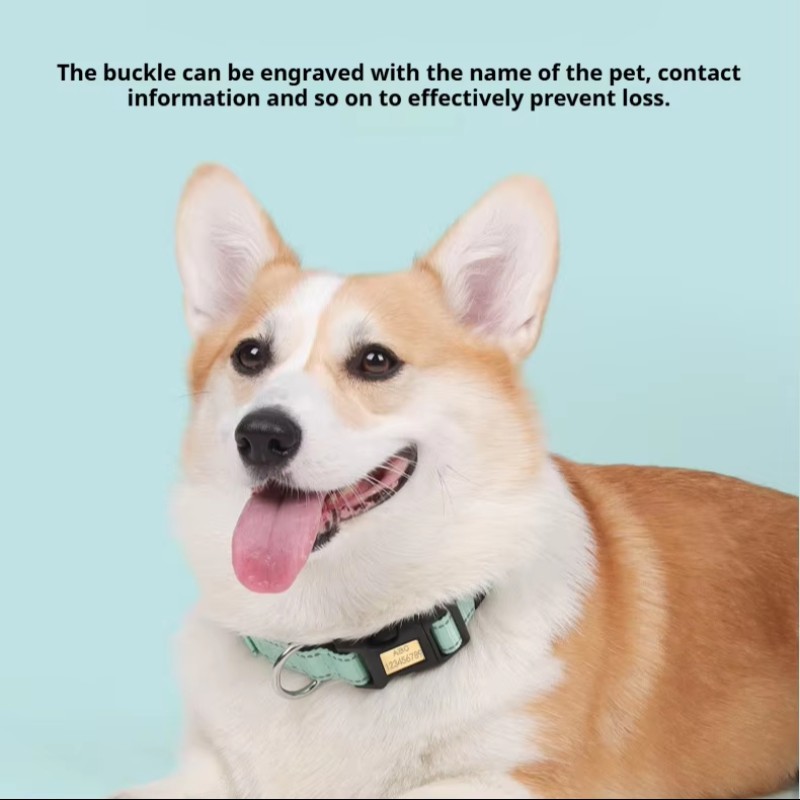 Designer Collar Set Manufacturer - OEM Luxury Soft Nylon