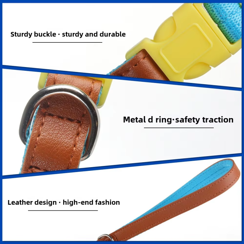 Dog Collar Manufacturer - OEM Custom Design Soft Nylon