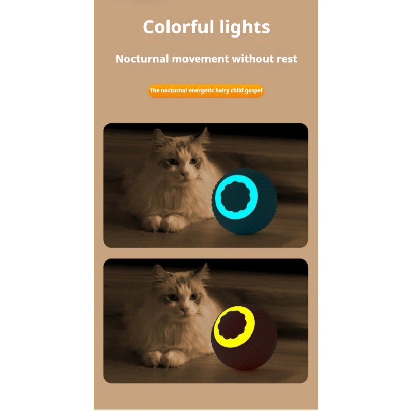 Cat Rolling Ball Factory - OEM Interactive Eco-Friendly