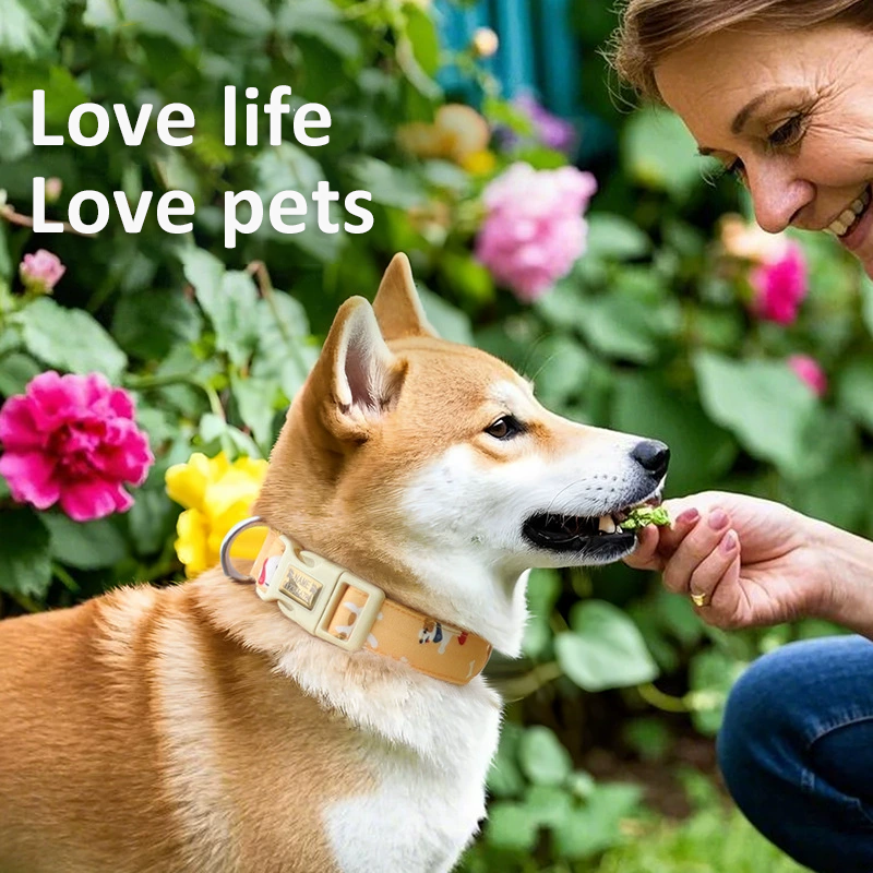 Dog Collar Manufacturer - OEM Adjustable Nylon Training