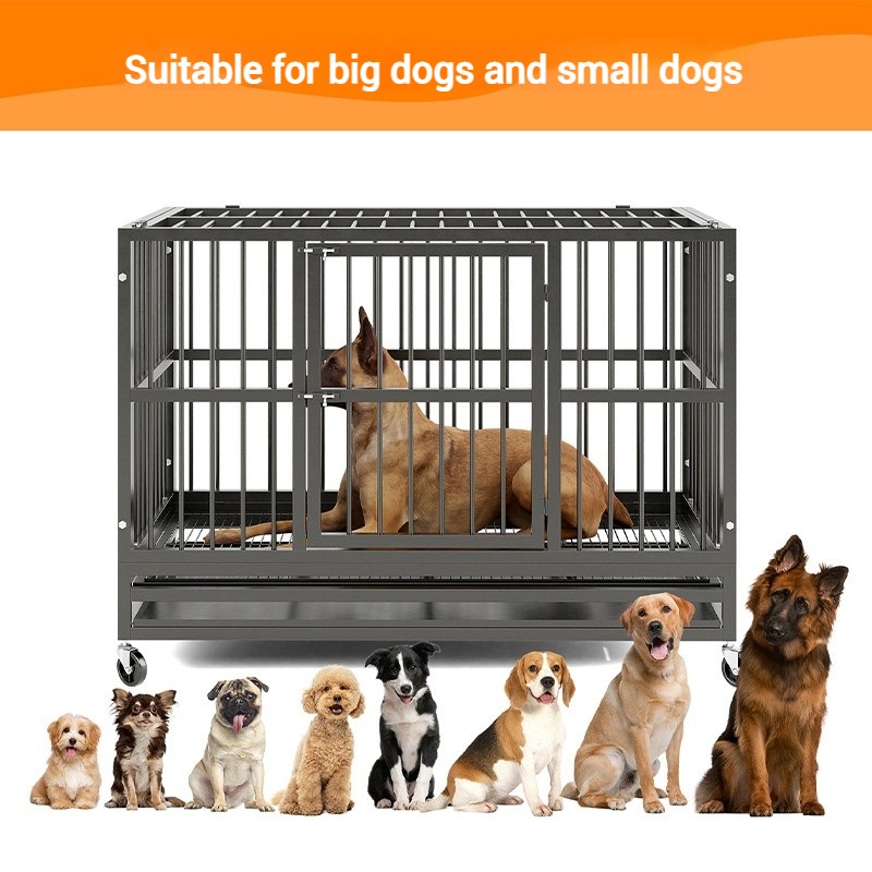Large Dog Crate Manufacturer - OEM 48x38 Inch Foldable Kennel