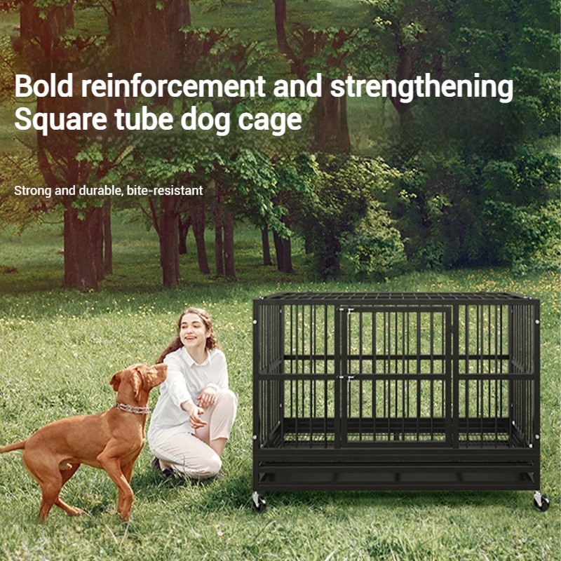 Large Dog Crate Manufacturer - OEM 48x38 Inch Foldable Kennel