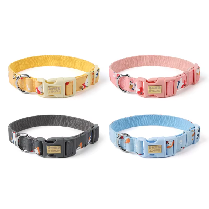 Dog Collar Manufacturer - OEM Adjustable Nylon Training
