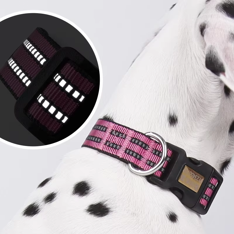 Pet Collar Factory - OEM Customizable Laser Engraving