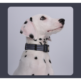 Pet Collar Factory - OEM Customizable Laser Engraving