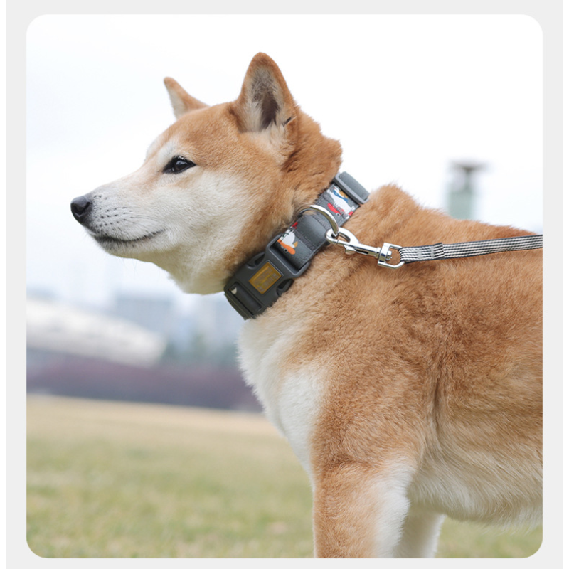 Dog Collar Manufacturer - OEM Adjustable Nylon Training