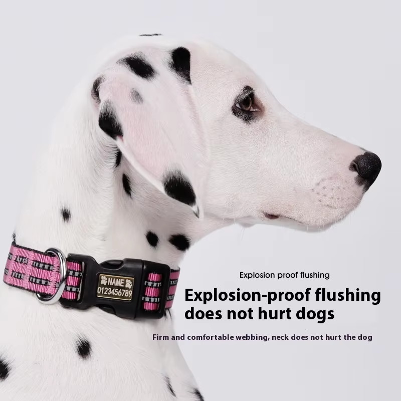 Tactical Dog Collar Manufacturer - OEM Customizable Luxury