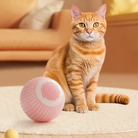 Cat Ball Manufacturer - OEM Interactive Rolling Intelligent