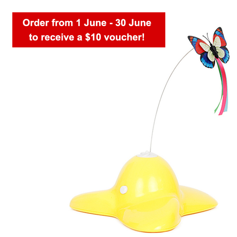 Cat Toy Wand Factory - OEM Butterfly Electric Interactive