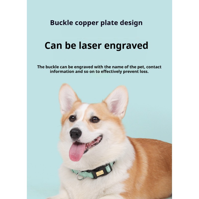 Dog Collar Manufacturer - OEM Adjustable Reflective Nylon