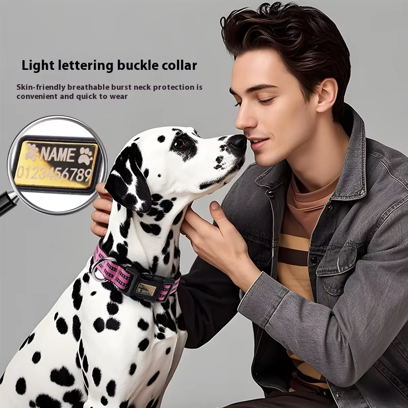 Pet Collar Factory - OEM Customizable Laser Engraving