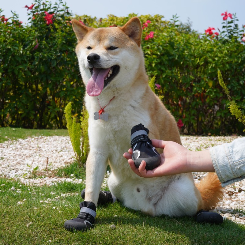 Dog Shoes Manufacturer - OEM Small Waterproof Rubber