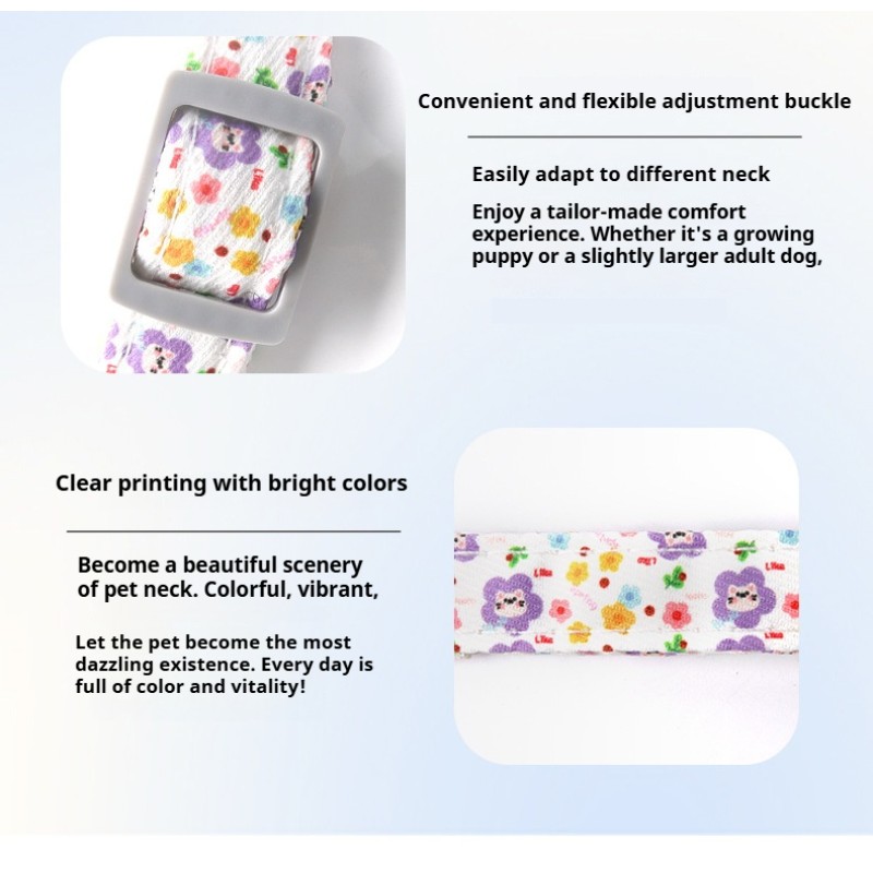 Pet Collar Set Factory - OEM Luxury Custom Retractable