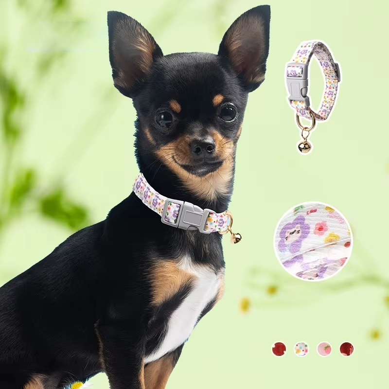 Dog Collar Set Factory - OEM Luxury Custom Printed