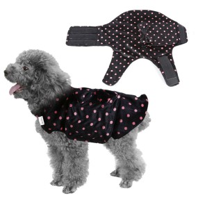 Pet Vest Manufacturer - Dot Pattern Sexy Girl Jacket