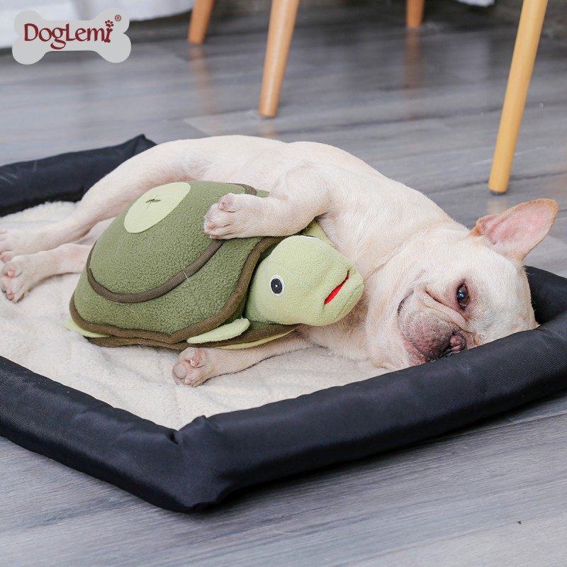 Pet Puzzle Toy Supplier - IQ Smart Turtle Design