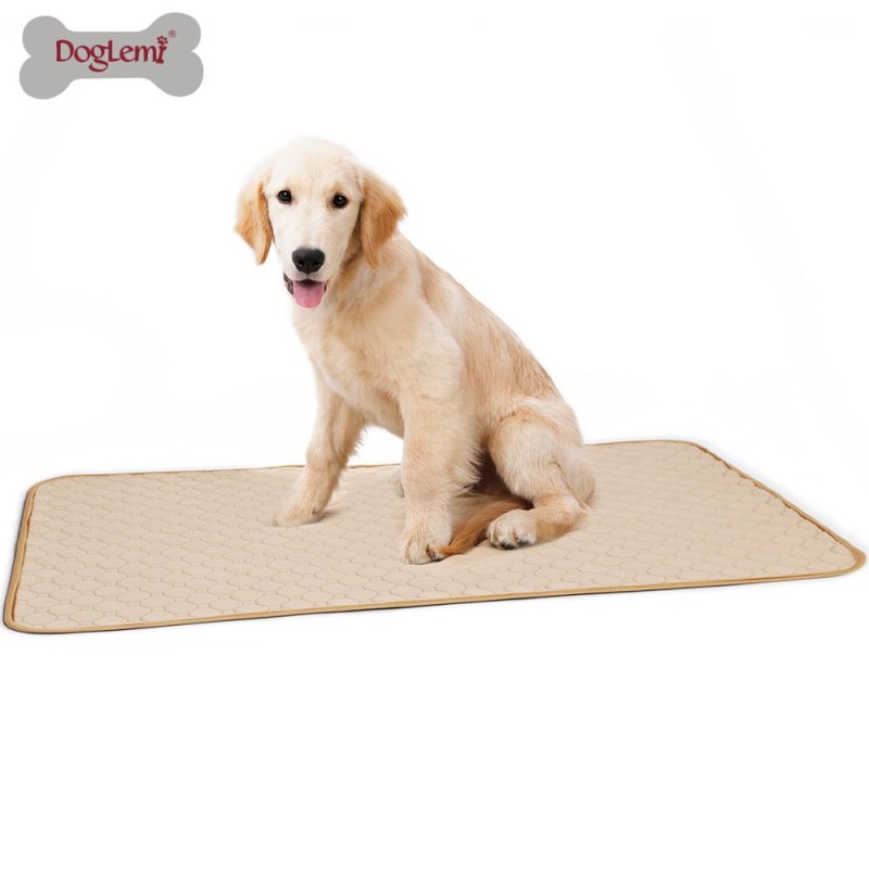 Dog Training Pad Factory - Anti-Slip Breathable Washable