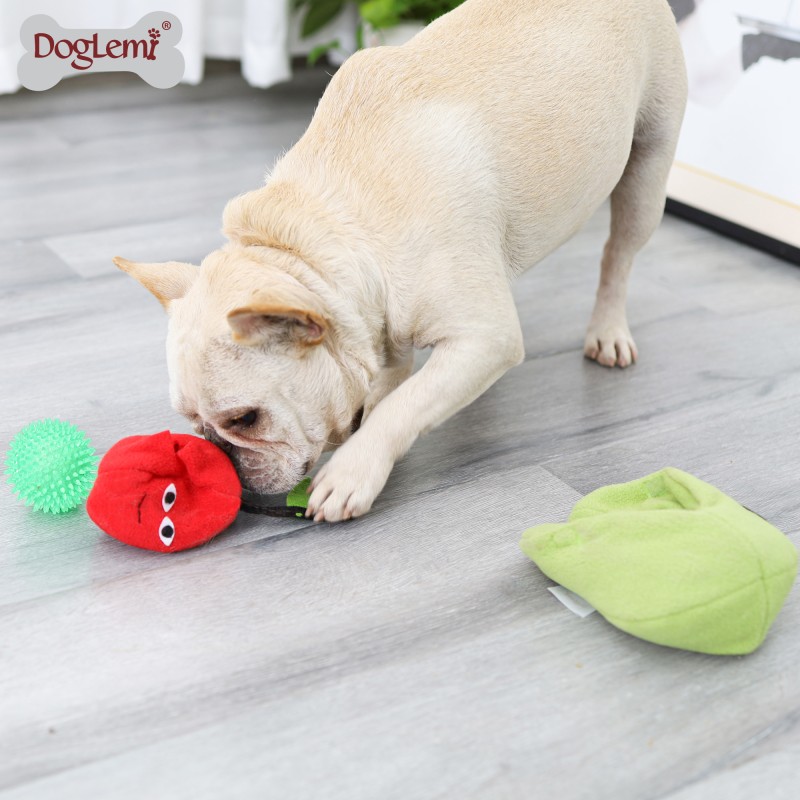 Dog IQ Toy Supplier - 2-in-1 Pearl Cherry Ball
